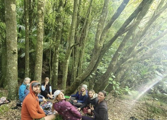 Forest bathing in sunbeams